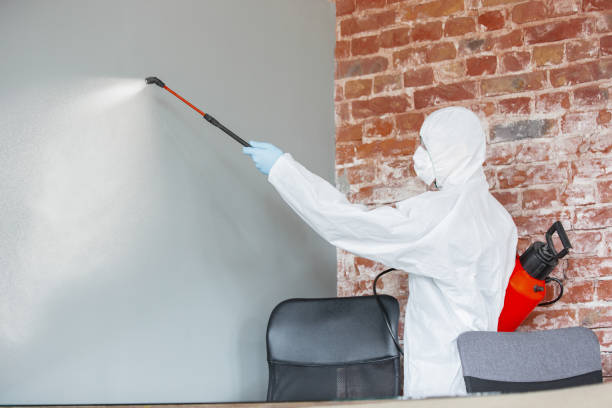 Best Real Estate Mold Inspection  in Waite Park, MN