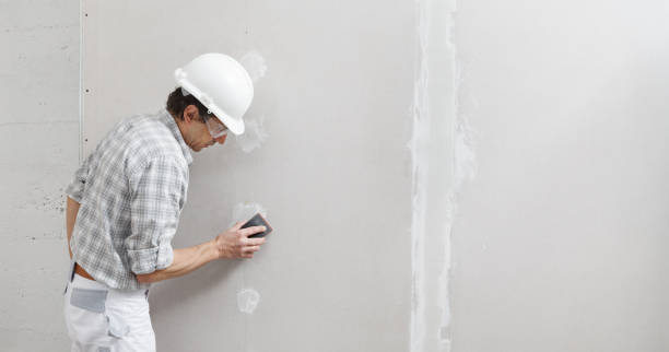 Best Air Quality Testing for Mold Spores  in Waite Park, MN