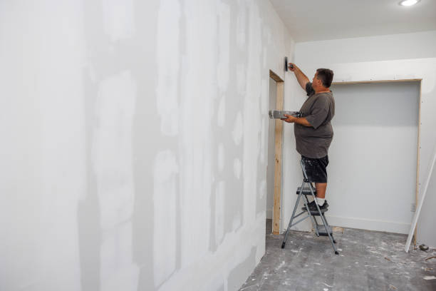 Best Forensic Mold Investigation  in Waite Park, MN