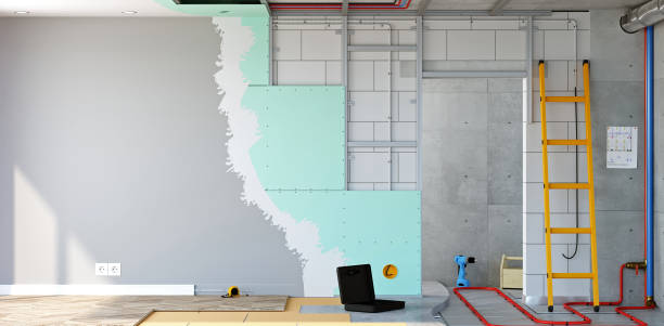 Waite Park, MN Mold Removal Company