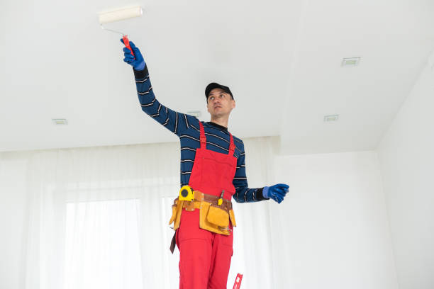 Best Comprehensive Air Testing for Mold Contaminants  in Waite Park, MN