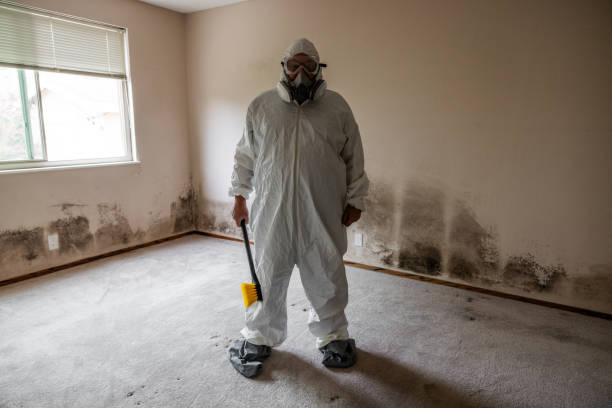 Environmental Consulting for Mold Prevention in Waite Park, MN