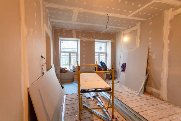 Best Black Mold Removal  in Waite Park, MN
